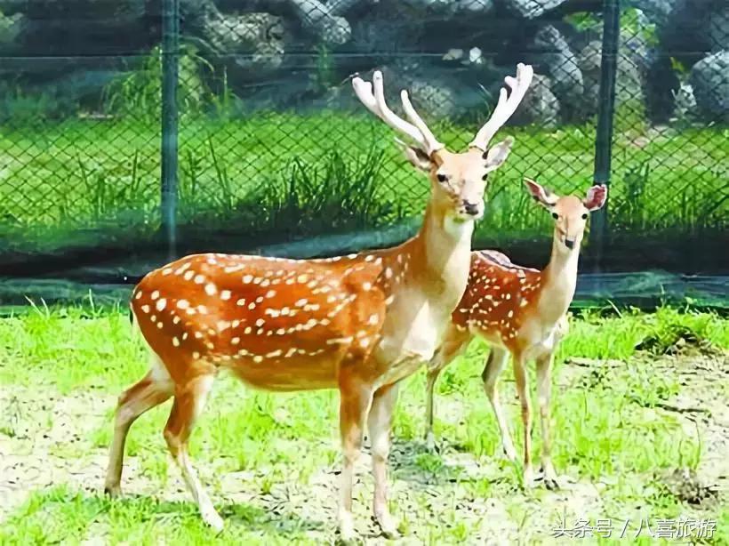 请问去威海怎么玩儿,第一次去威海怎么玩