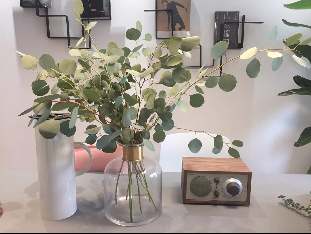 广西最美的农村住宅建筑,广西最美房子