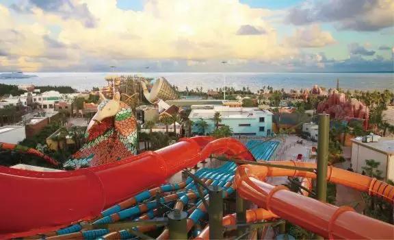 吴川超燃视频,吴川震撼的视频