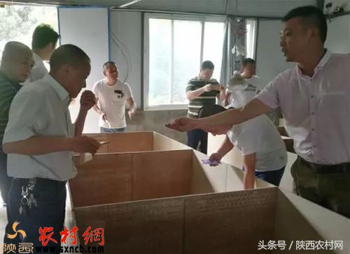 农村创业项目排行榜前十名低成本,利用农村闲置劳动力创业的好项目