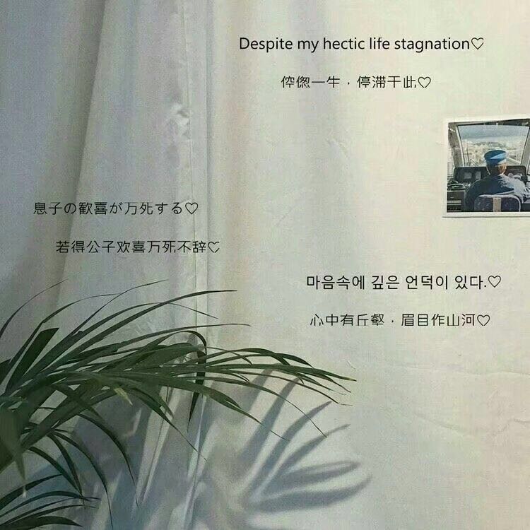 微信很火的霸气句子句句洒脱霸气,2018年微信经典句子句句穿心