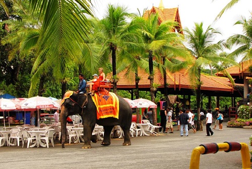 芭提雅吃不完的美食,芭提雅晚上有什么可玩的