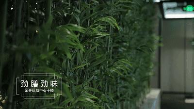 乔丹哪一双老爹鞋最好,劲话论