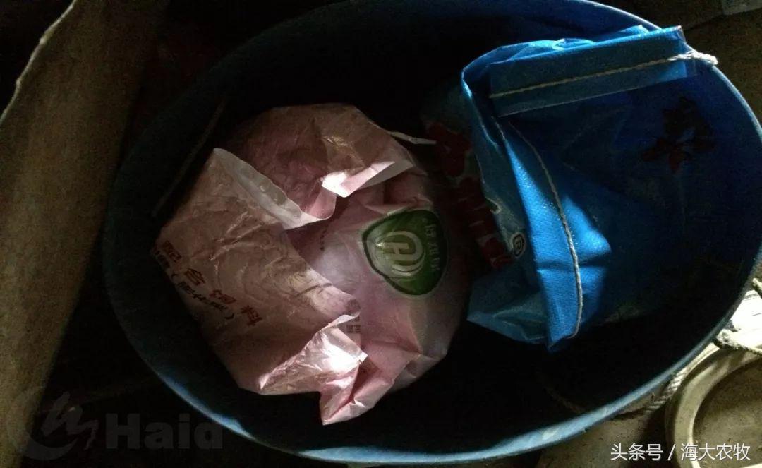 看，这就是别人家的鱼！“红润有光泽”，吃料“梆梆声”！