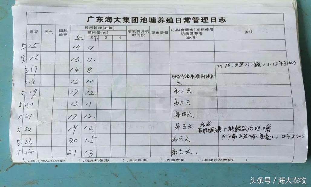 看，这就是别人家的鱼！“红润有光泽”，吃料“梆梆声”！