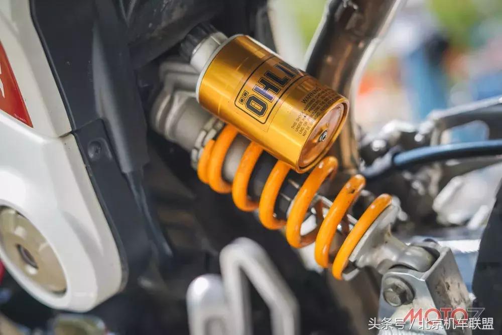 混血小猴子的视频,混血宝宝小猴子