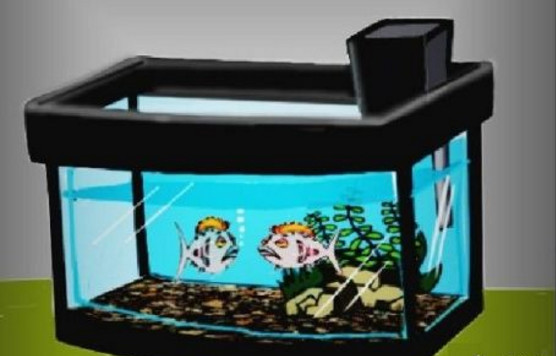 新鱼缸开缸多久能建立硝化系统,开缸硝化系统的建立大概多长时间