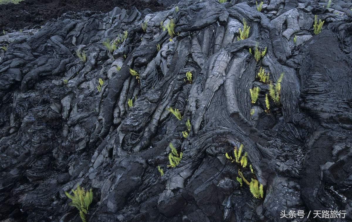 世界“最贵”最难进的公园,门票近万元仍一票难求,公园竟在非洲!