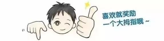 最美南阳月季园,看到美丽的月季花心情豁然开朗