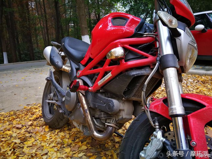 杜卡迪自游幼狮500,杜卡迪车主真实感受