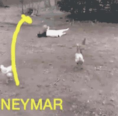 内马尔翻滚恶搞,内马尔翻滚图片