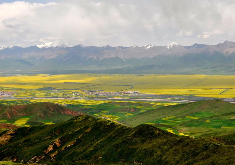 浅谈一下农业新模式,智慧农业的思路和策略