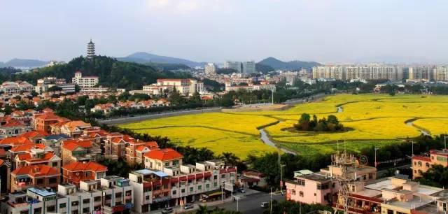 东莞哪个镇最富裕,东莞哪个片区最富