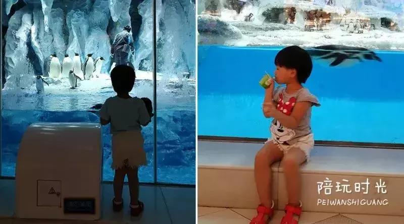 带娃游长隆最佳路线,带娃去哪个长隆玩