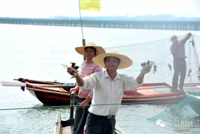 人人都说阳澄湖好，我却只想和你在这慢慢变老