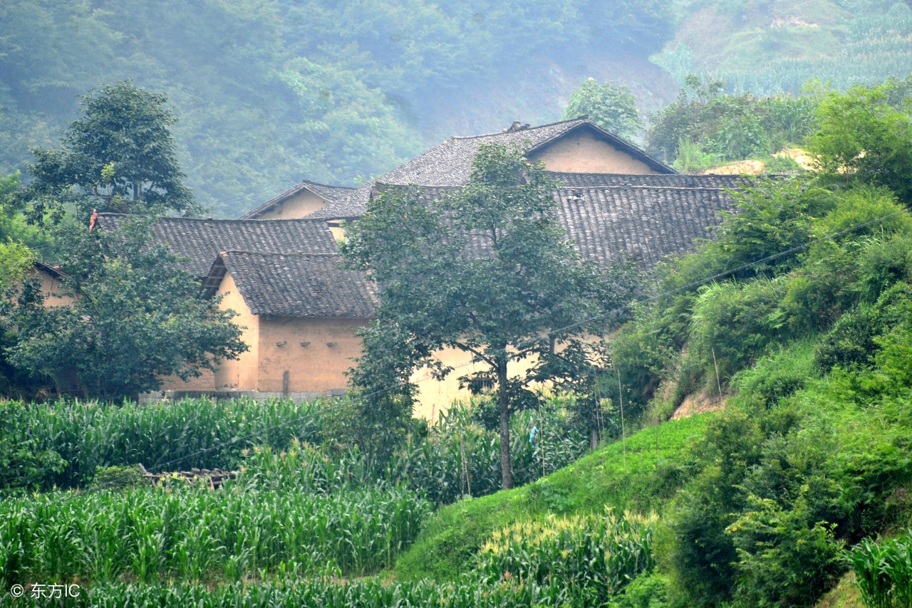大学生三农自媒体人,年轻人可以回乡做三农自媒体吗