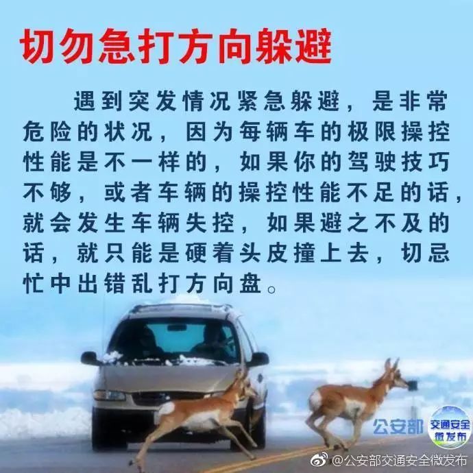 高速知识贴,高速撞死小动物怎么化解