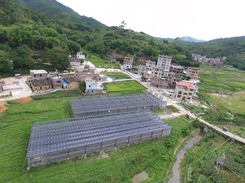 云浮打造特色乡村振兴项目,阳江云浮乡村振兴