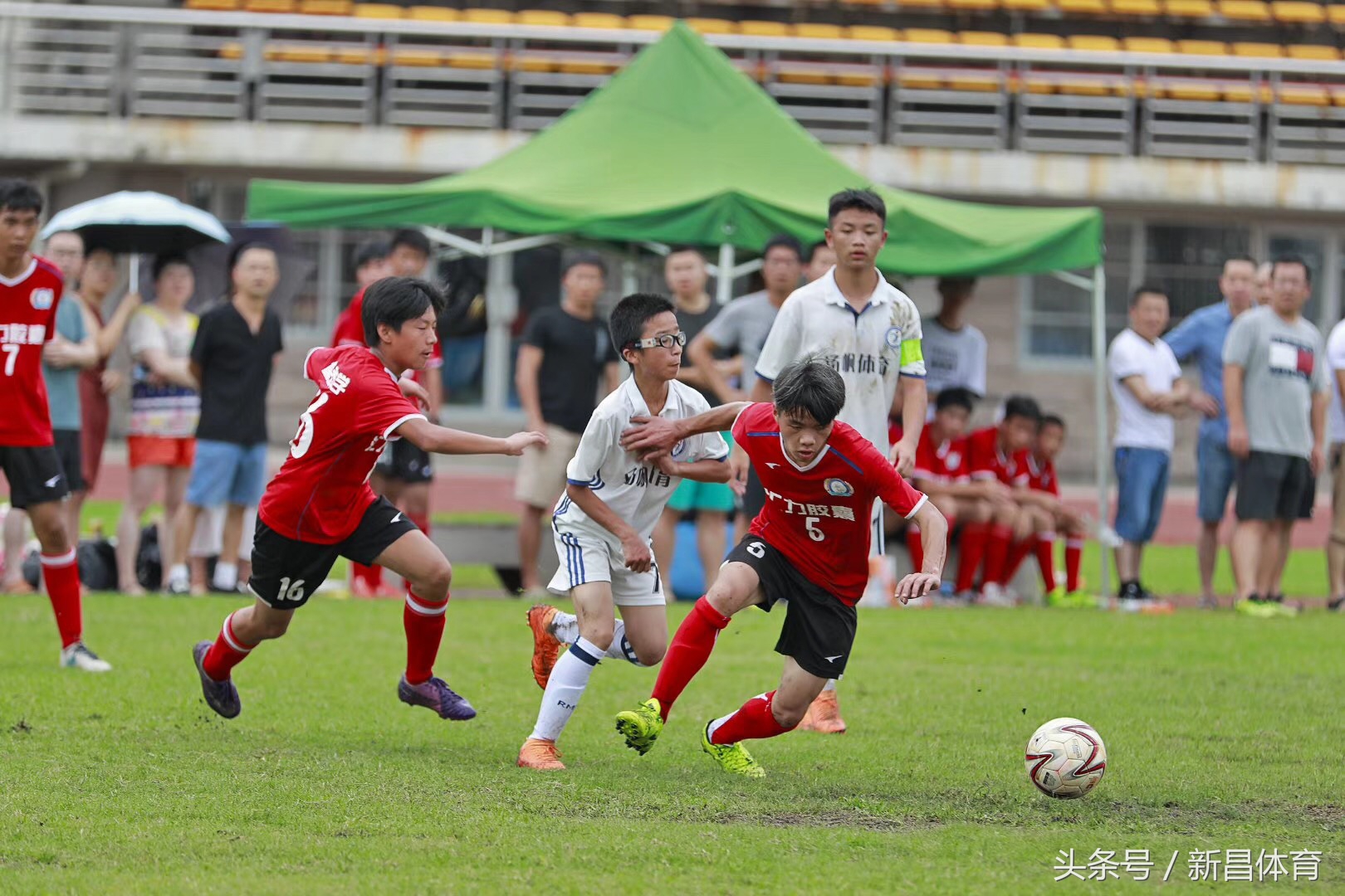 少年足球大赛完整版,少年足球比赛