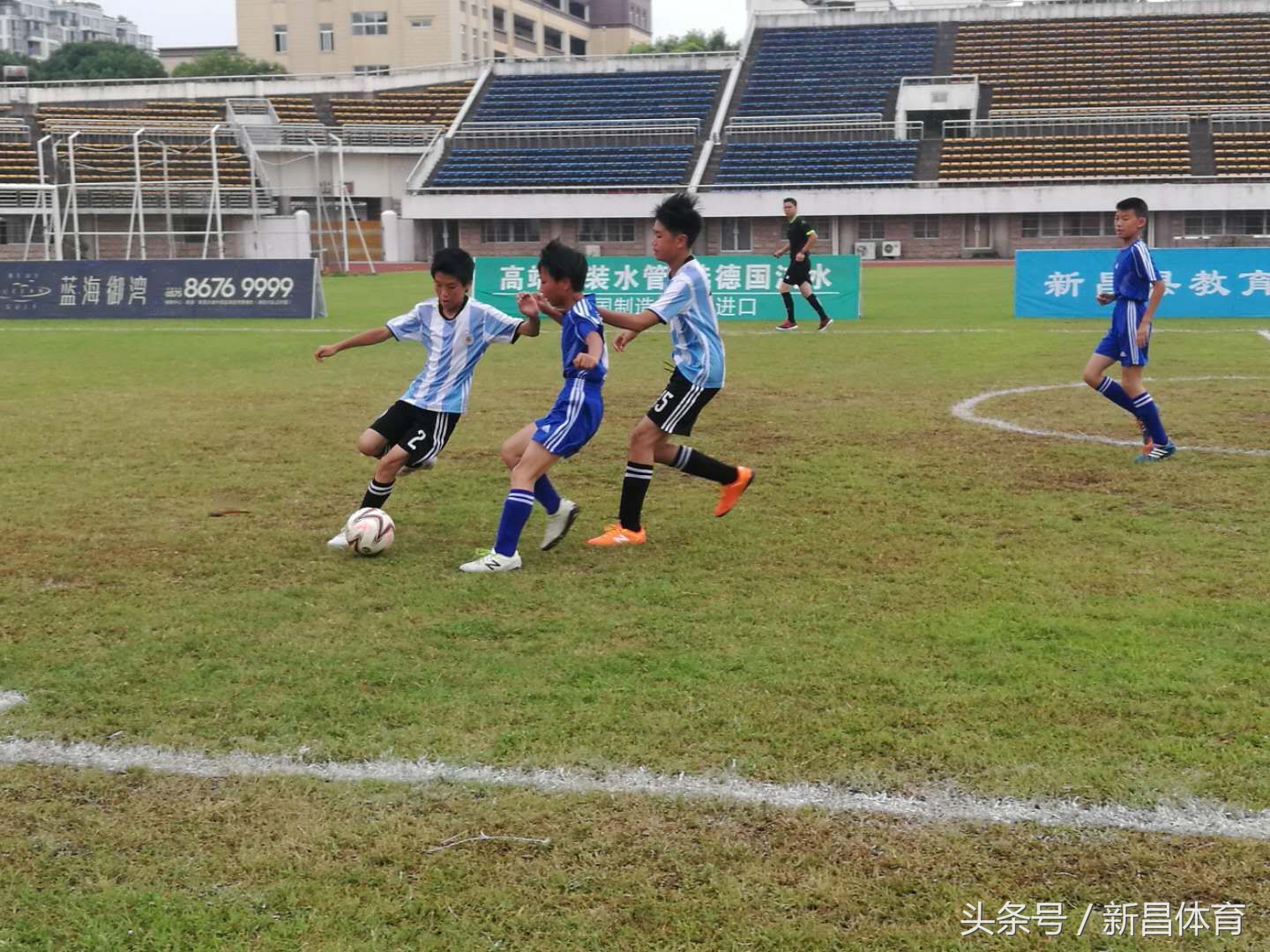 青少年足球比赛小学直播,少年足球联赛新昌县