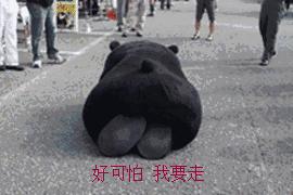 上海人，我劝你别再闯红灯了！