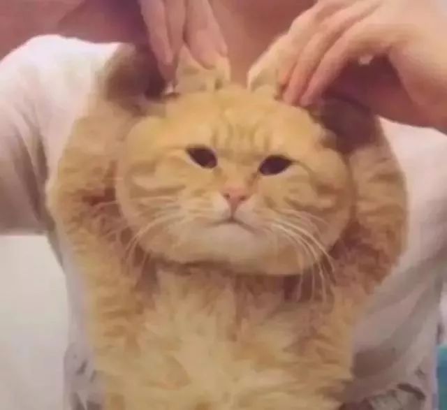 在香港超过7天会怎样处罚,去香港旅游被罚款怎么办