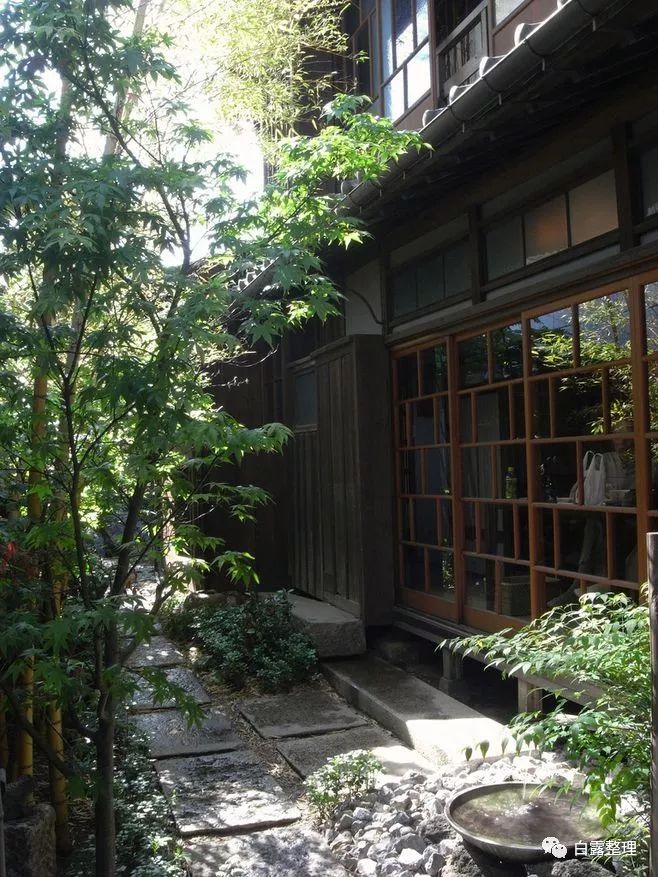 日本茶道文化深度解析,日本茶道有多美