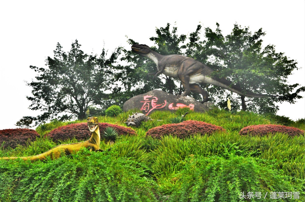 自贡恐龙博物馆展示是真恐龙吗,自贡恐龙博物馆可以现场购票吗