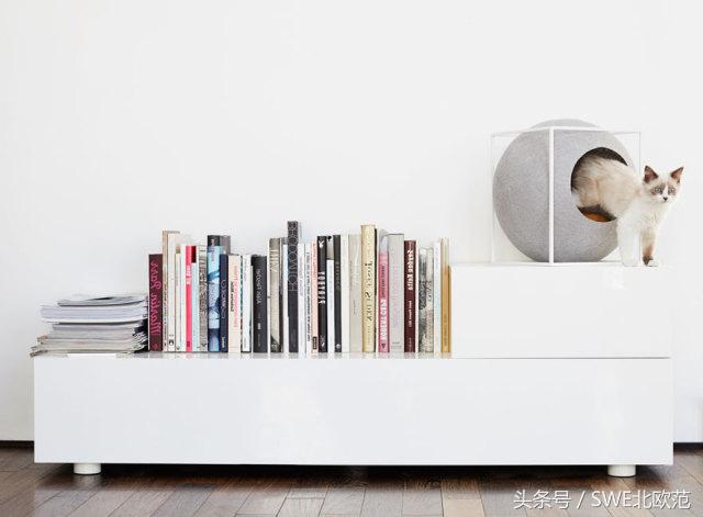 撸猫真的太快乐了,撸猫算是成功了吧