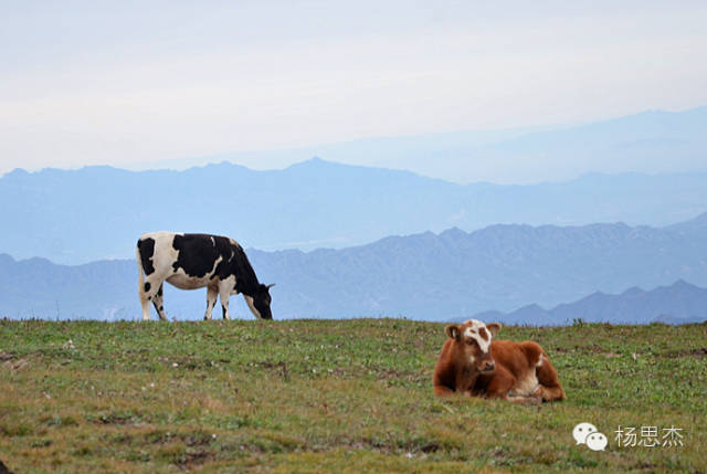 适合旅行的12首音乐,推荐10首适合在旅行途中听的歌曲