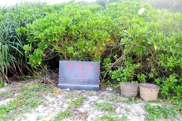 潍坊到三亚旅游攻略7天6晚旅游团,三亚自由行吃住攻略