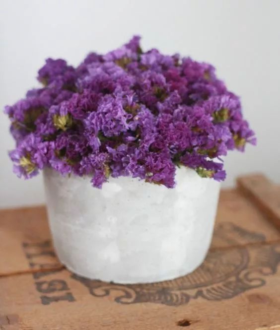 勿忘我花束制作方法超简单,自制勿忘我花束包装教程