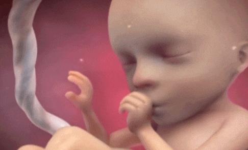 神奇的胎动在肚子里,宝宝是怎么在妈妈肚子里胎动的