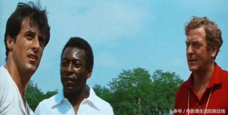 十部必看的越狱大片解说,最过瘾的十部越狱片