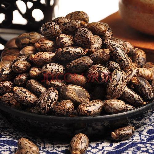 中药蓖麻子拔毒,蓖麻子拔毒