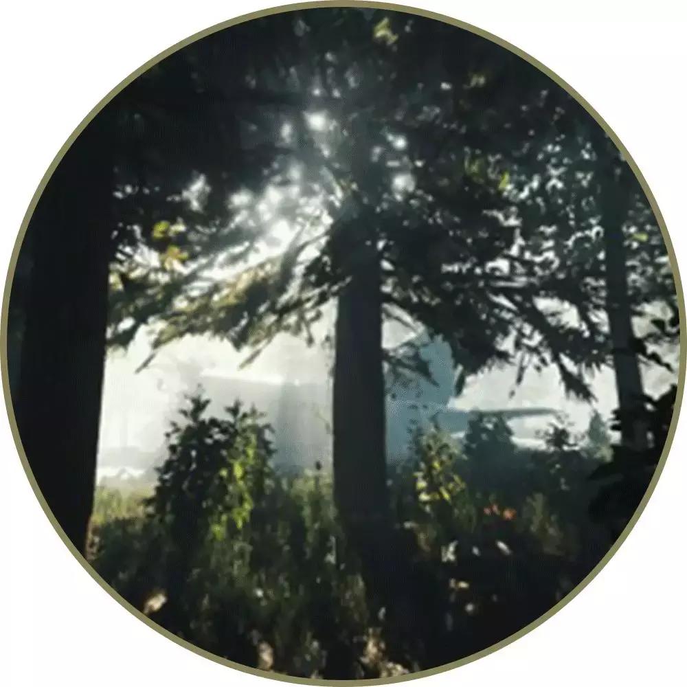 tomford椰子香水,tomford木质香水和祖玛珑木质香