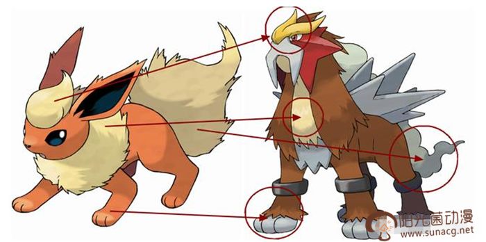 最新宠物小精灵进化过程全图,宠物小精灵中有普通动物吗