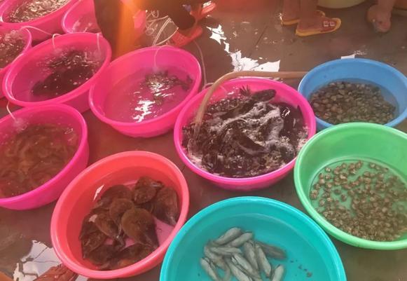 国庆不想人挤人？慢悠悠的北海、小清新涠洲岛可考虑~机票超便宜