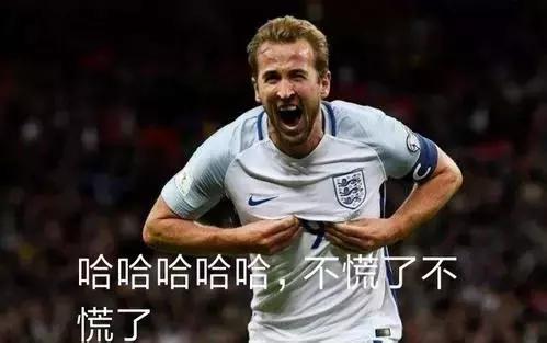 锦湖说世界杯：带你胡侃世界杯之三喵军团（爆笑图文，不容错过）