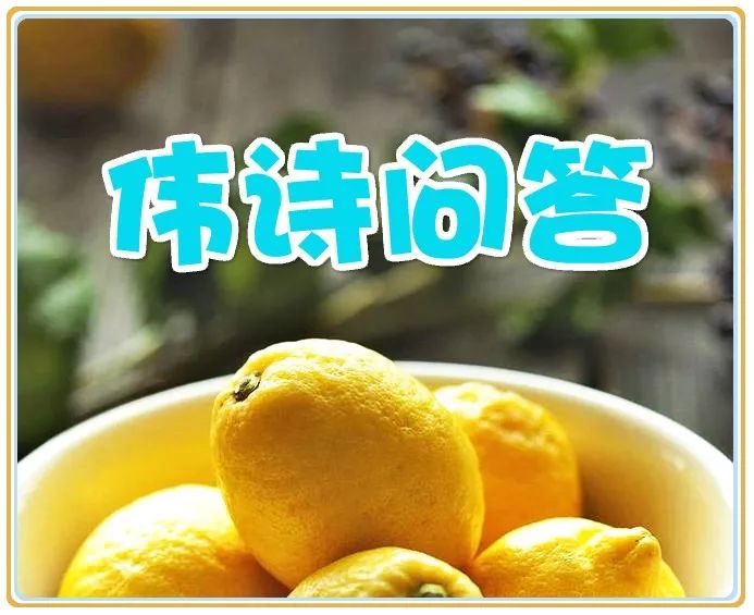 猪血脖肉怎么吃,今天吃点什么肉