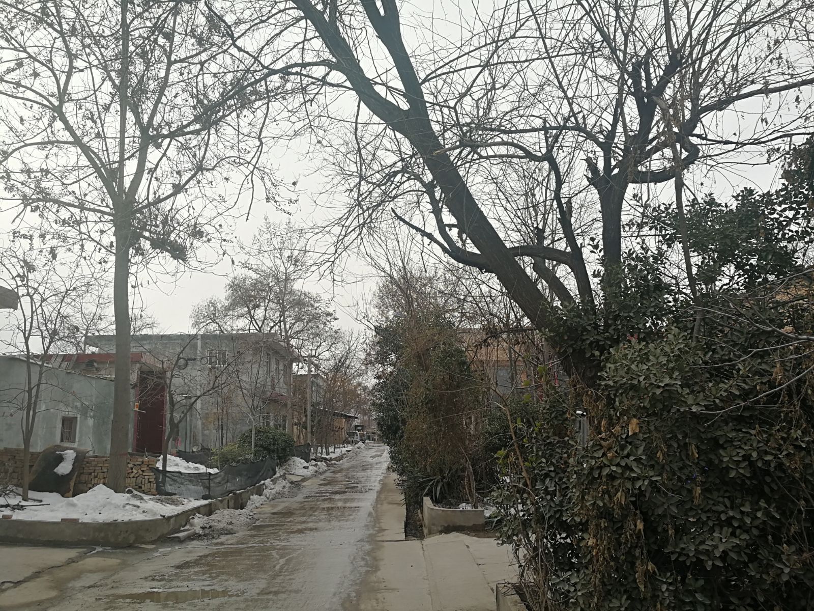 阎良山东人,阎良山东人过年