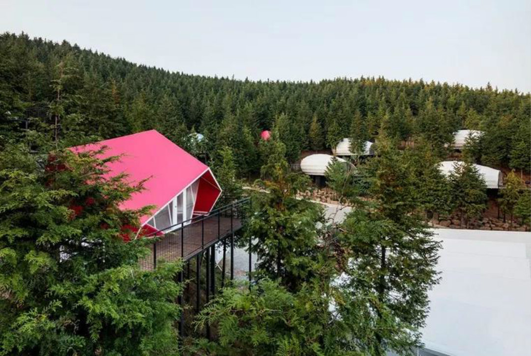 全球最美木屋民宿,世界最豪华木屋排名