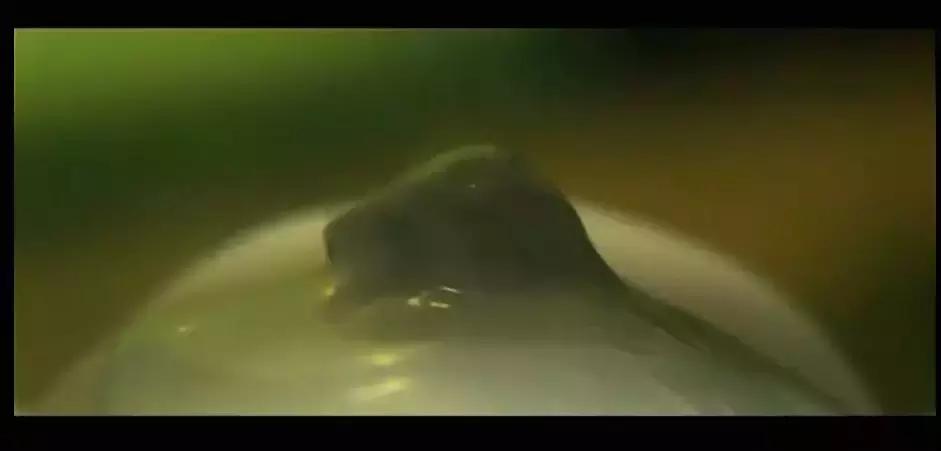 韩国犯罪悬疑片最新,韩国犯罪悬疑片合集