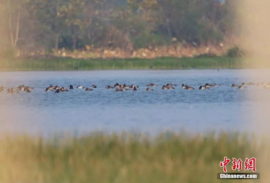 国学经典金句释义,国学经典醍醐灌顶豁然顿悟