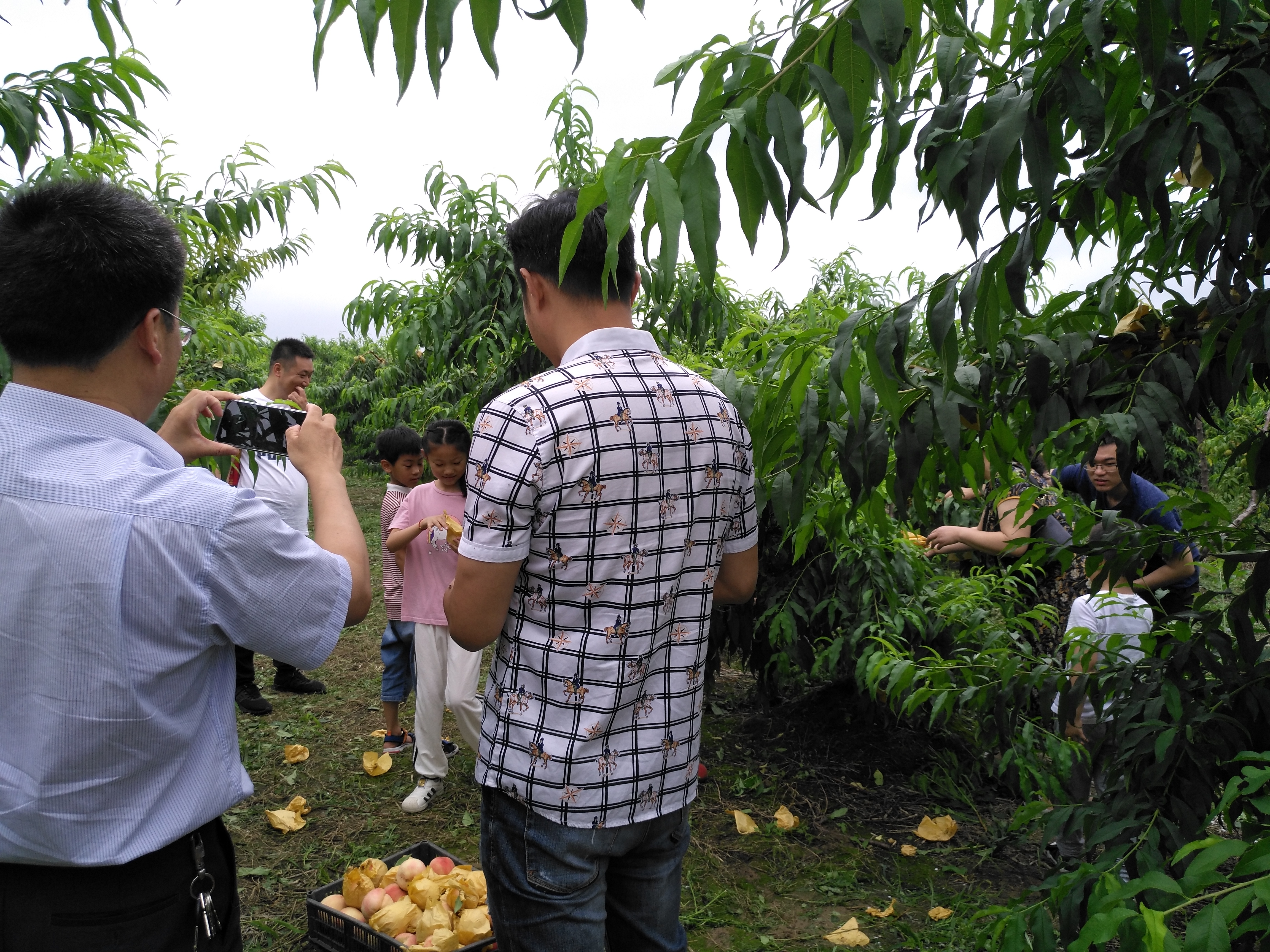 千鸟园宿迁美食,千鸟园桃缘