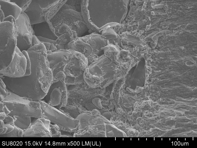 微观世界|这样的世界杯,你见过吗?