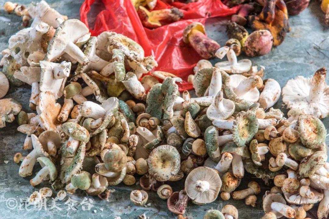 昆明野生菌苍蝇馆子,昆明比较高端的野生菌餐厅