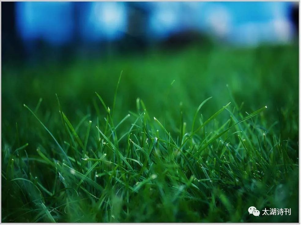 老浦闲聊一一大与小