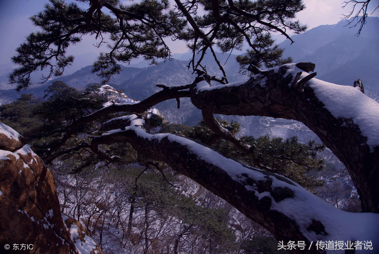 宋词一生必背50首古诗,一生必背100首经典唐诗宋词朗诵版