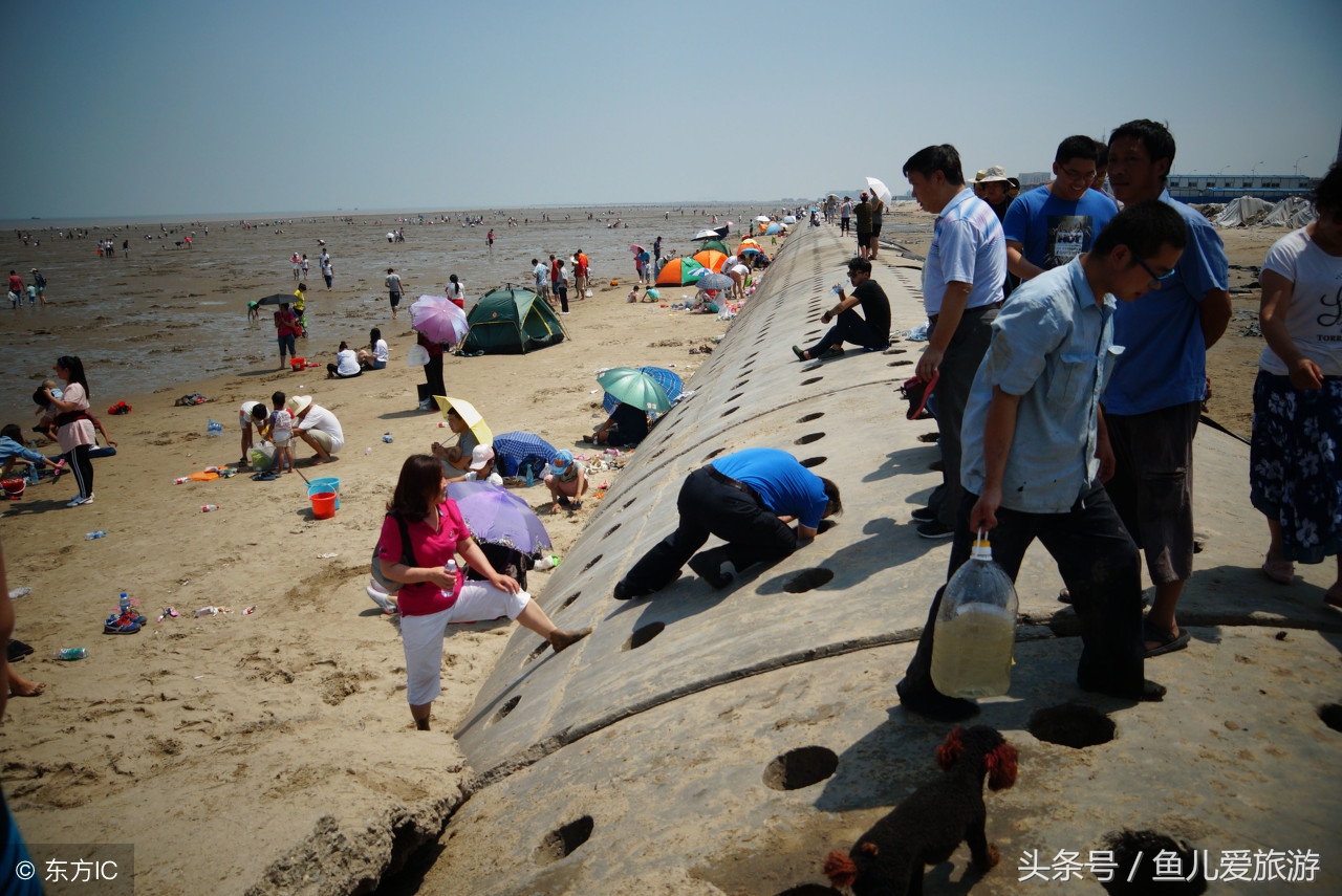 东疆港和北戴河哪个好玩,两宝妈带孩子自驾游